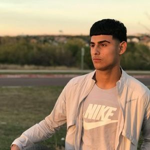 Meet your Posher, Albert